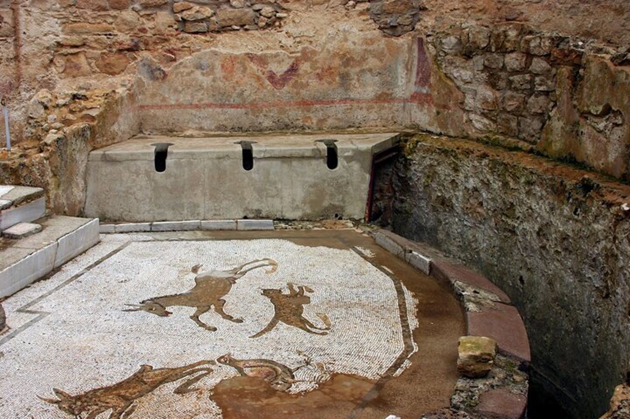 Visita guidata di Villa Romana del Casale con salta fila — 3