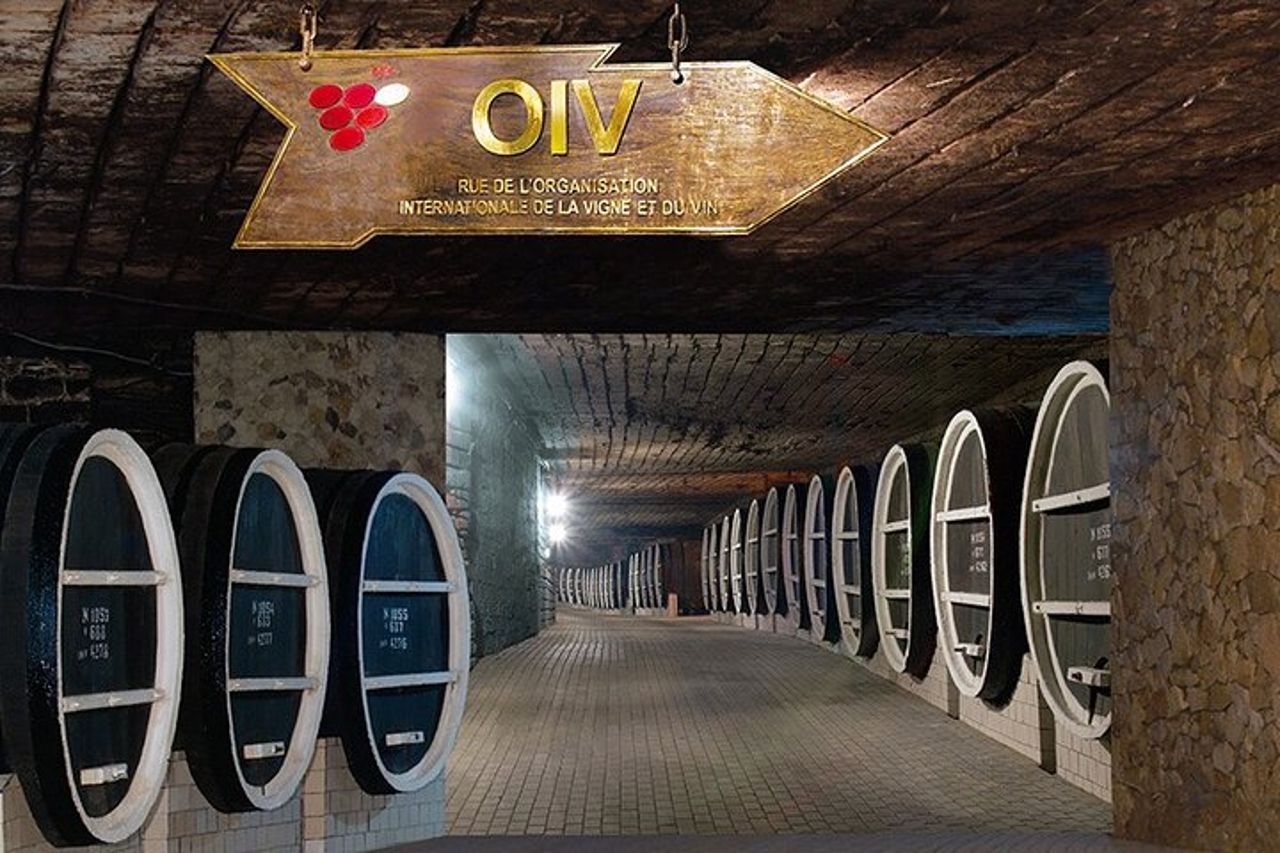 Visita la più grande azienda vinicola del mondo e Manuc Bei Mansion