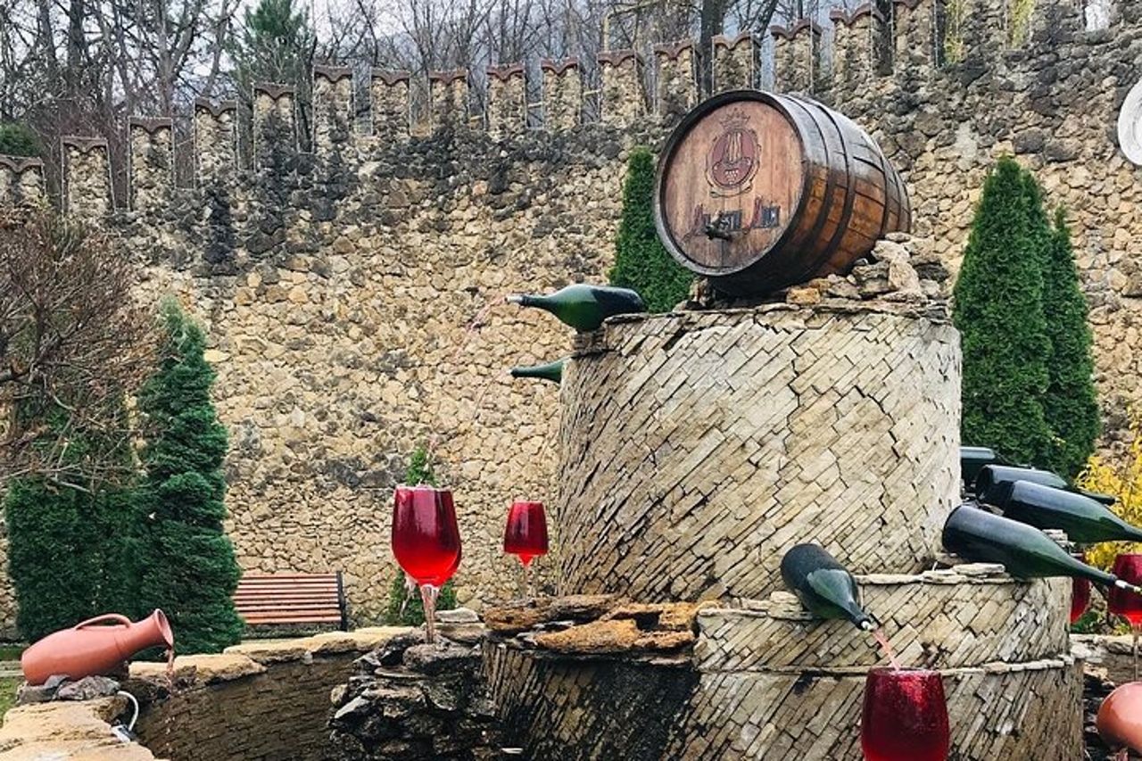 Visita la più grande azienda vinicola del mondo e Manuc Bei Mansion — 2