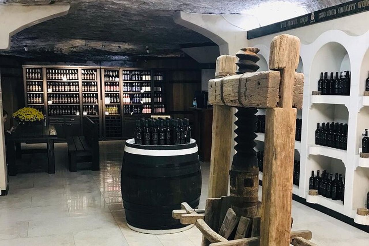 Visita la più grande azienda vinicola del mondo e Manuc Bei Mansion — 4