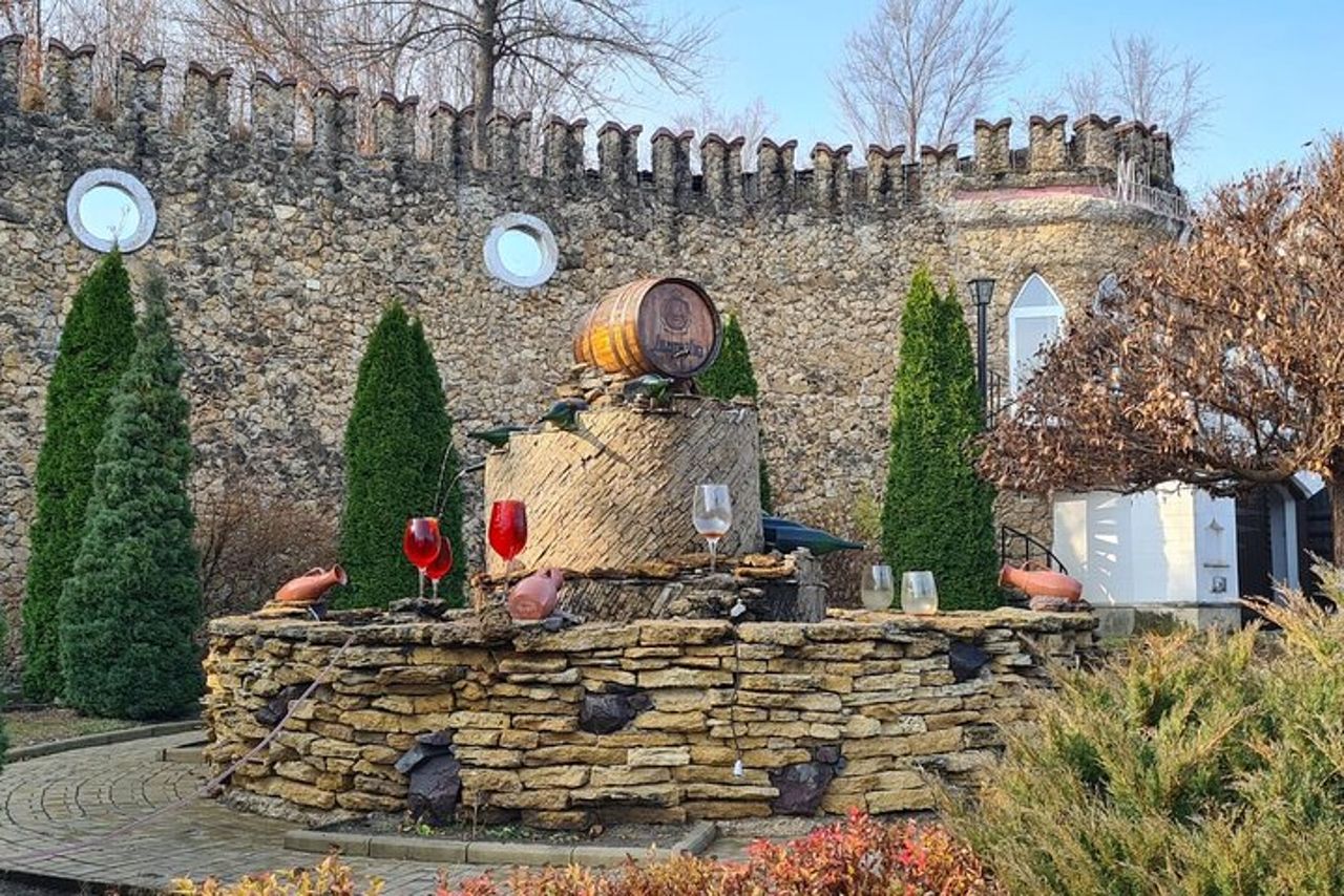 Visita la più grande azienda vinicola del mondo e Manuc Bei Mansion — 5