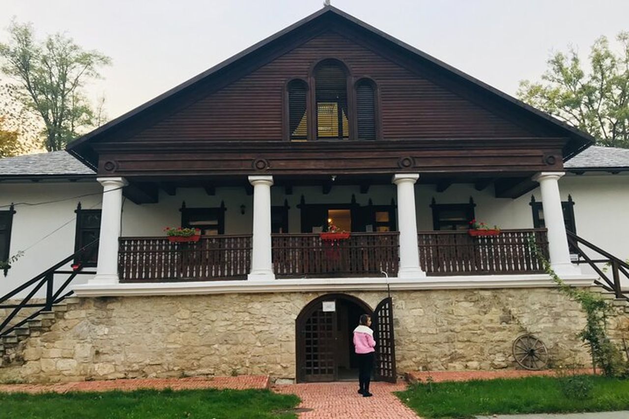 Visita la più grande azienda vinicola del mondo e Manuc Bei Mansion — 8