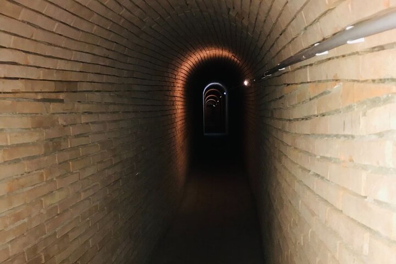 Visita la più grande azienda vinicola del mondo e Manuc Bei Mansion — 9