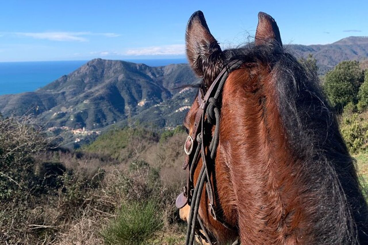 Giro a Cavallo sul Litorale di Monterosso al Mare Cinque Terre — 2