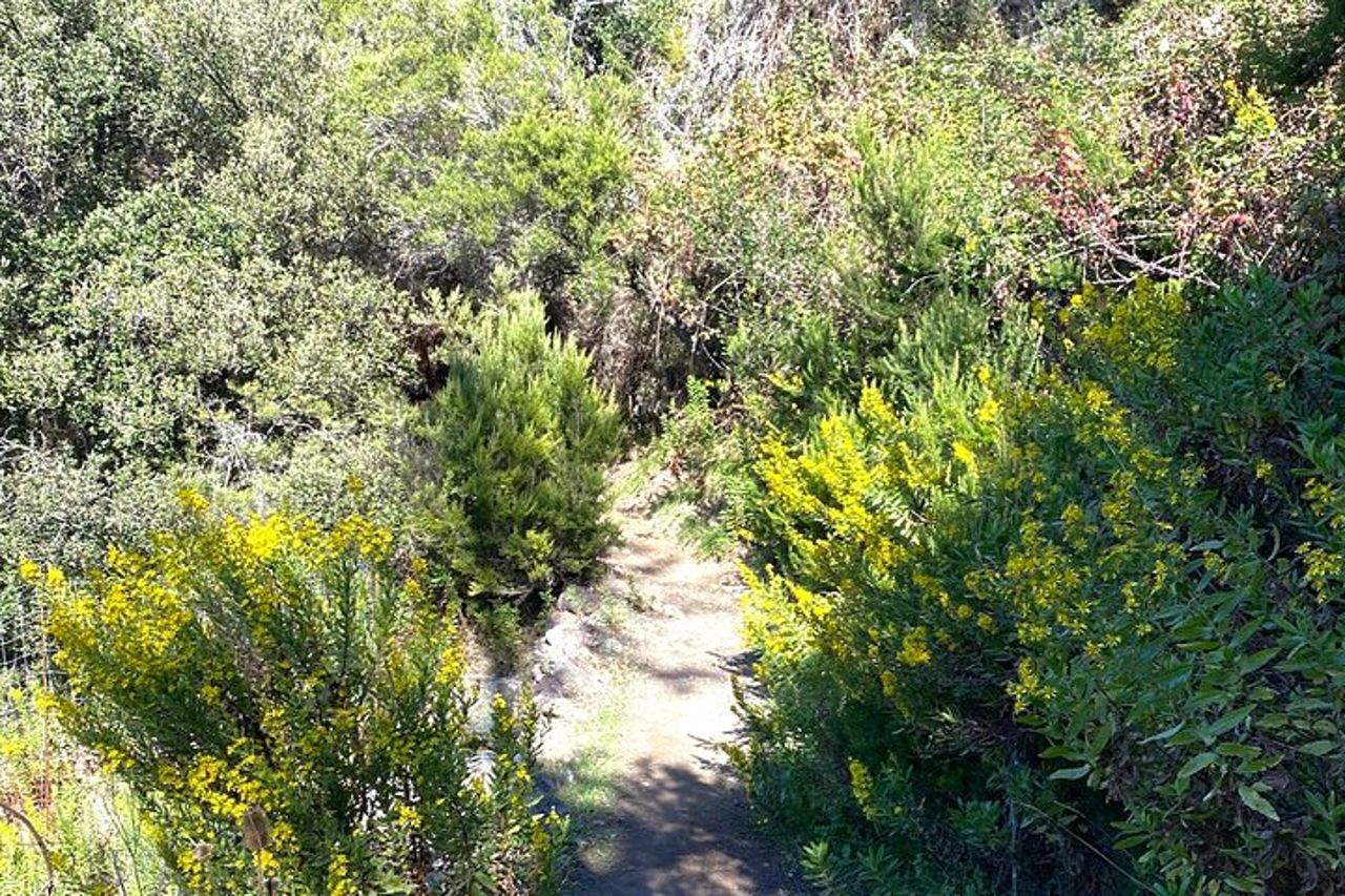 Giro a Cavallo sul Litorale di Monterosso al Mare Cinque Terre — 8