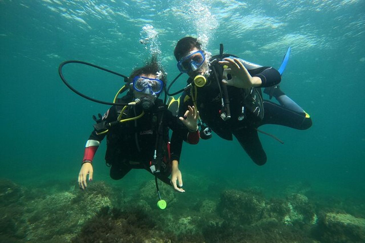 "Battesimo del Mare: Immersione Subacquea all'Isola d'Elba"