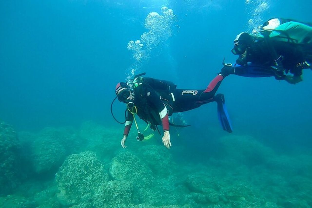 "Battesimo del Mare: Immersione Subacquea all'Isola d'Elba" — 4