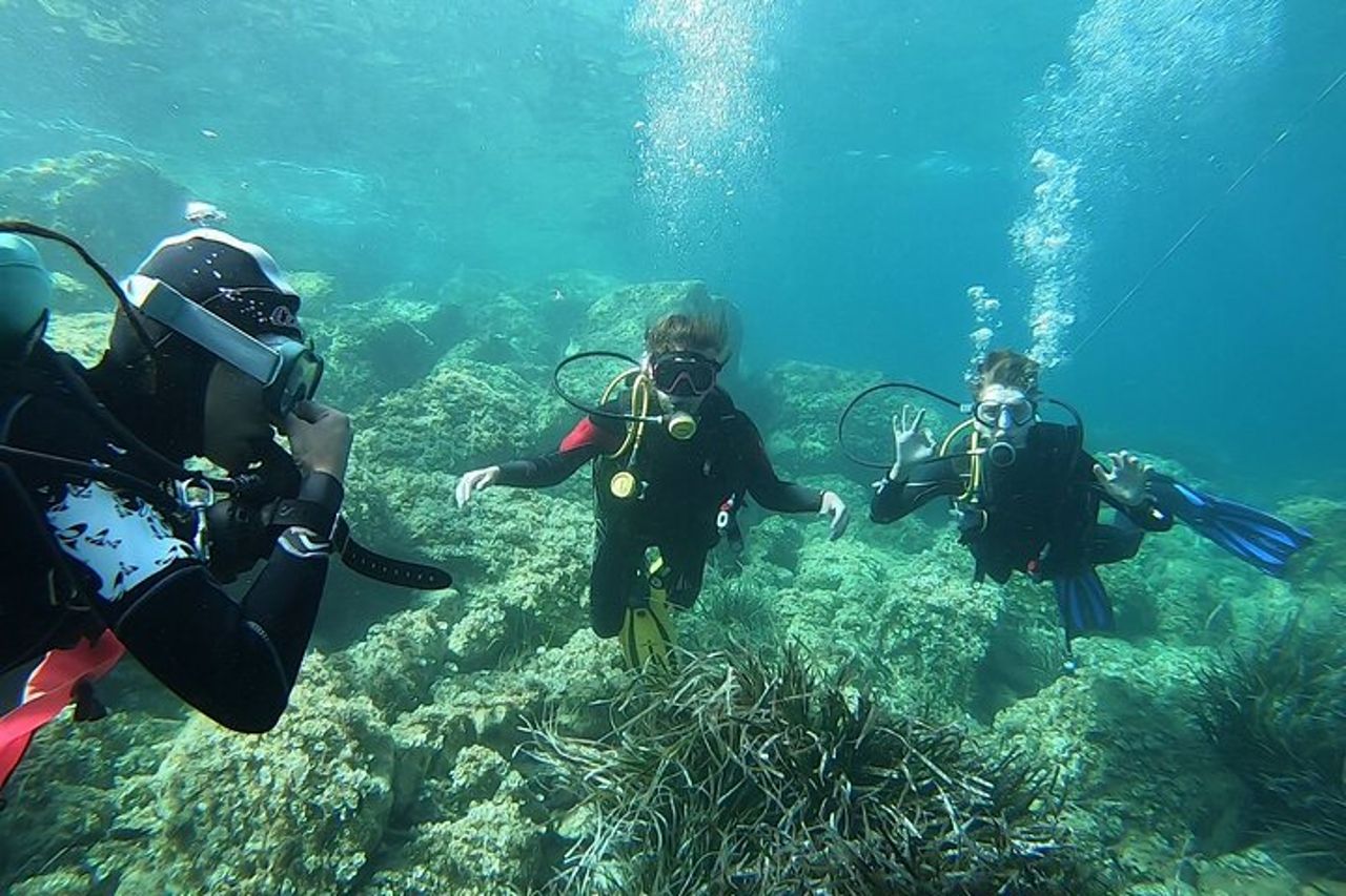 "Battesimo del Mare: Immersione Subacquea all'Isola d'Elba" — 5