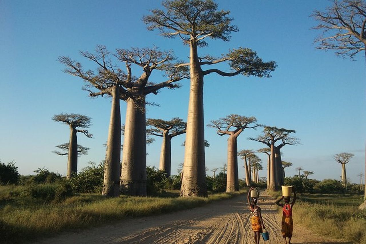 Tour d'avventura nel Madagascar occidentale | Natura e scoperta