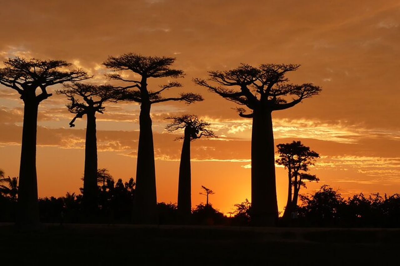 Tour d'avventura nel Madagascar occidentale | Natura e scoperta — 3