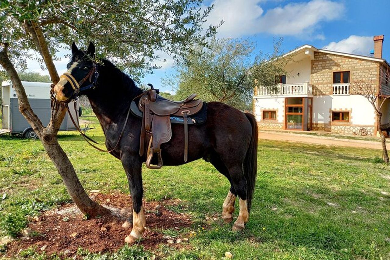 Passeggiata a Cavallo nel Parco Nazionale Gargano — 9
