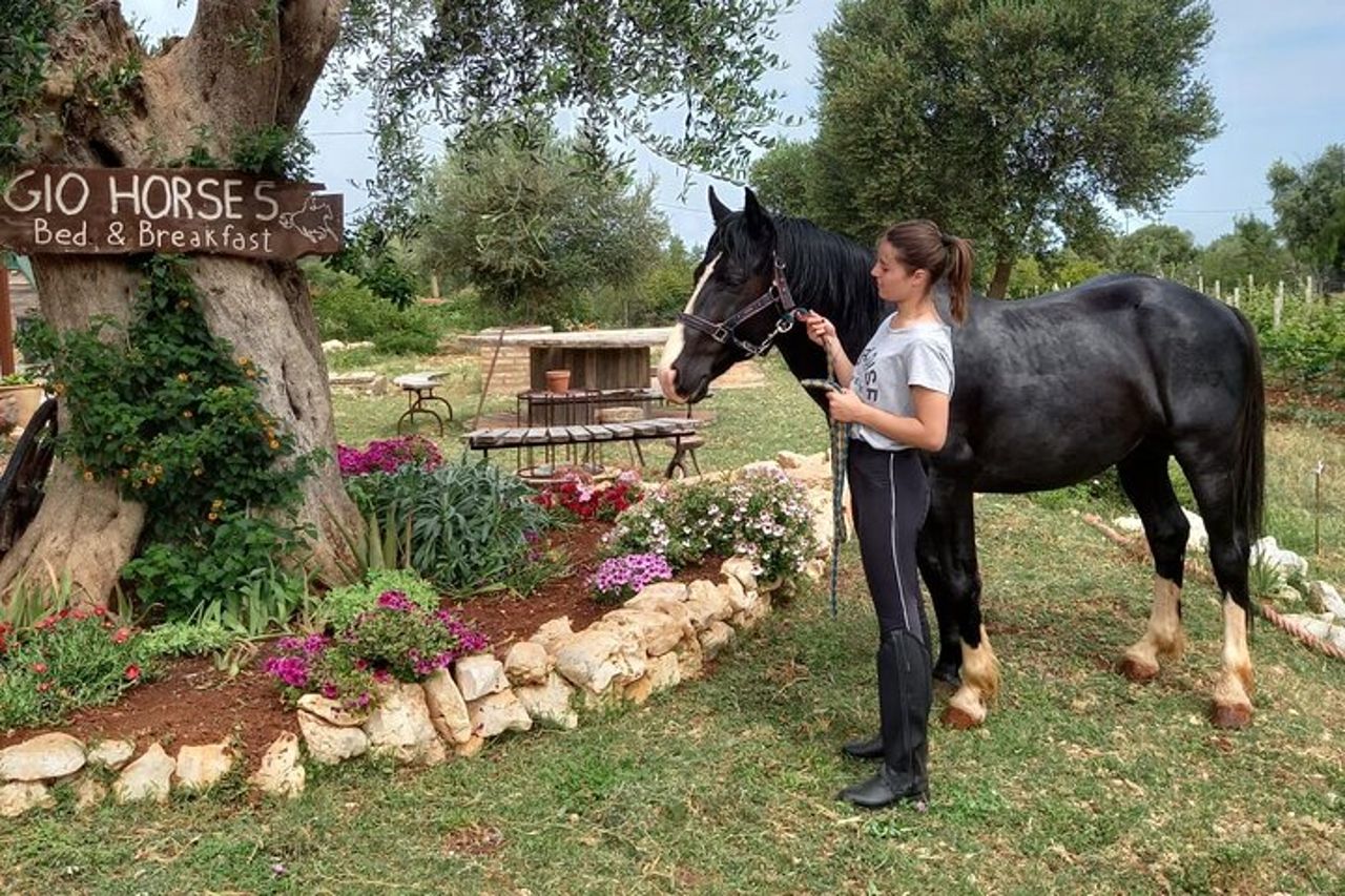 Passeggiata a Cavallo nel Parco Nazionale Gargano — 2