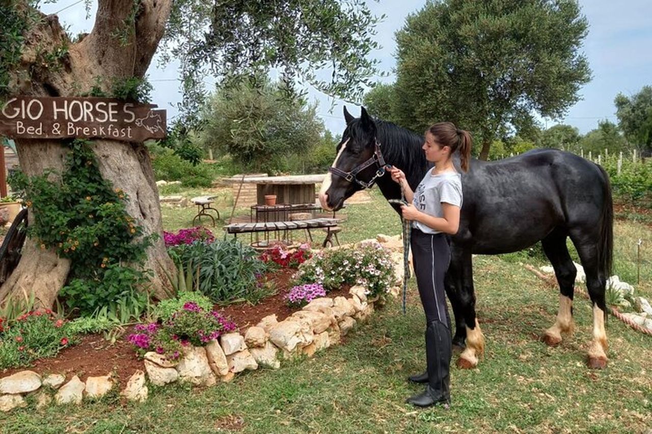Passeggiata a Cavallo nel Parco Nazionale Gargano — 7