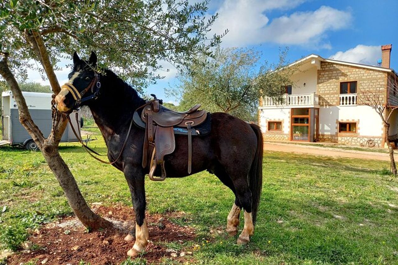 Passeggiata a Cavallo nel Parco Nazionale Gargano — 6