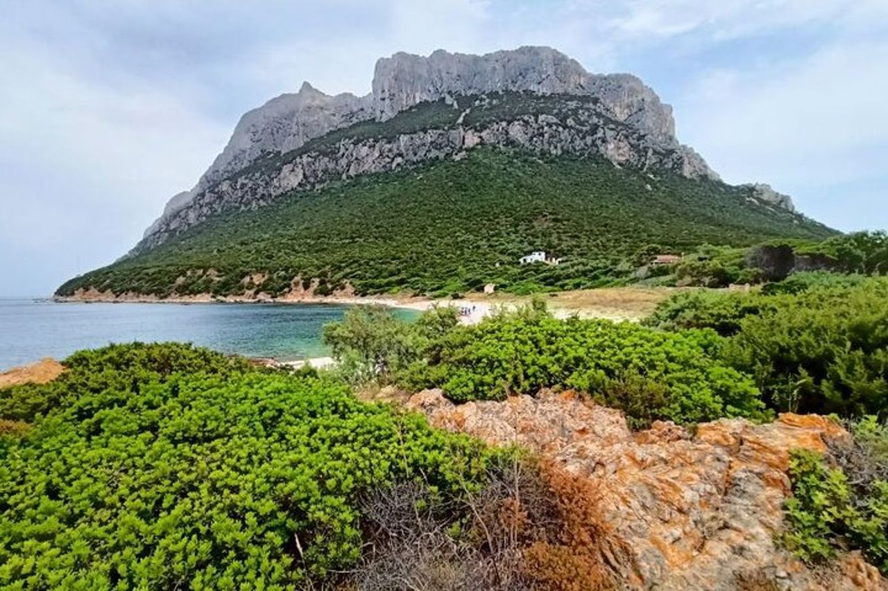 San Teodoro: Gran Tour dell'Arcipelago di Tavolara — 5