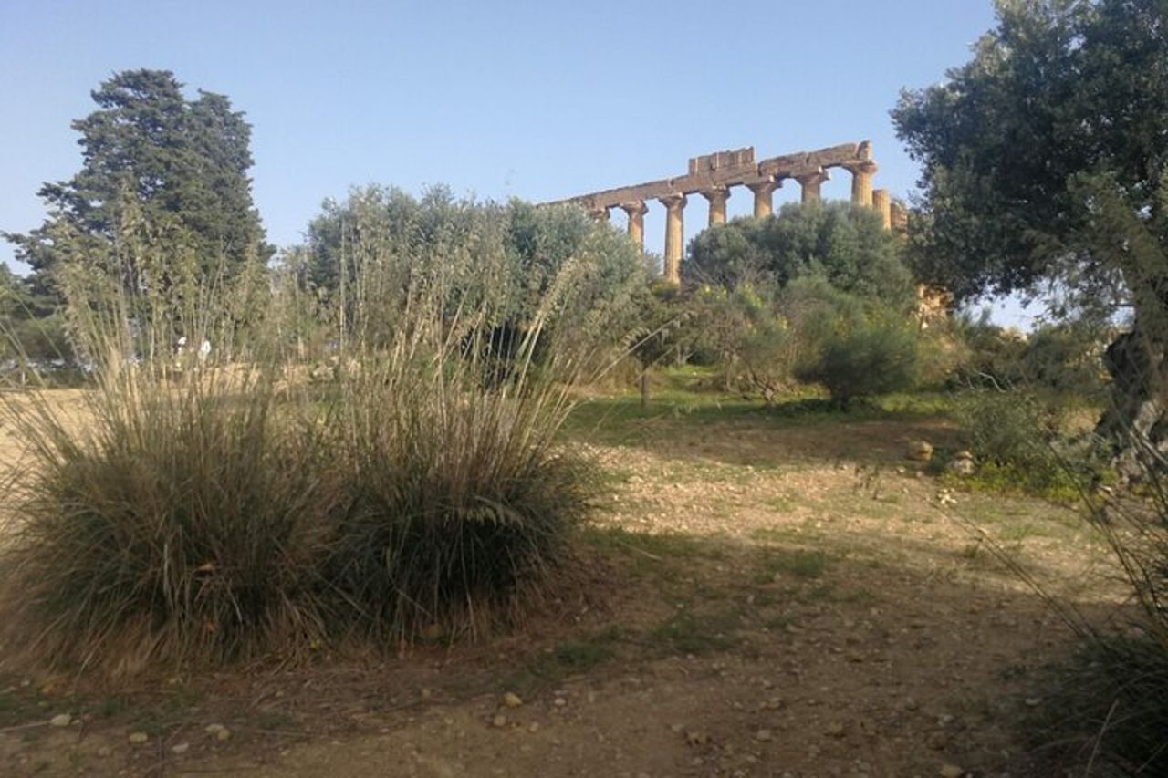 Tour Privato a Segesta, Erice e degustazioni di Vini a Marsala — 5