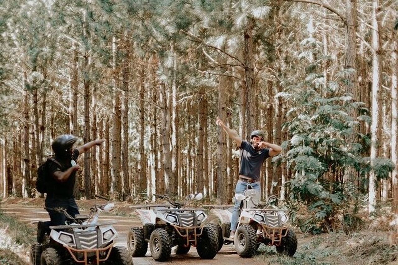 Le attività avventurose più eccitanti e gli unici tour in quad in Tsitsikamma