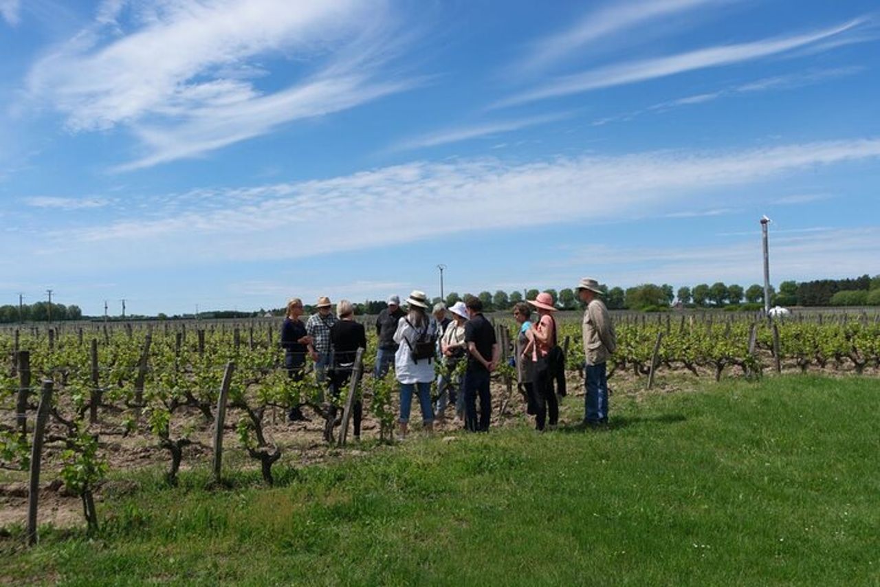 Tour privato di un giorno dei vini della Valle della Loira con degustazioni da Tours o Amboise — 4