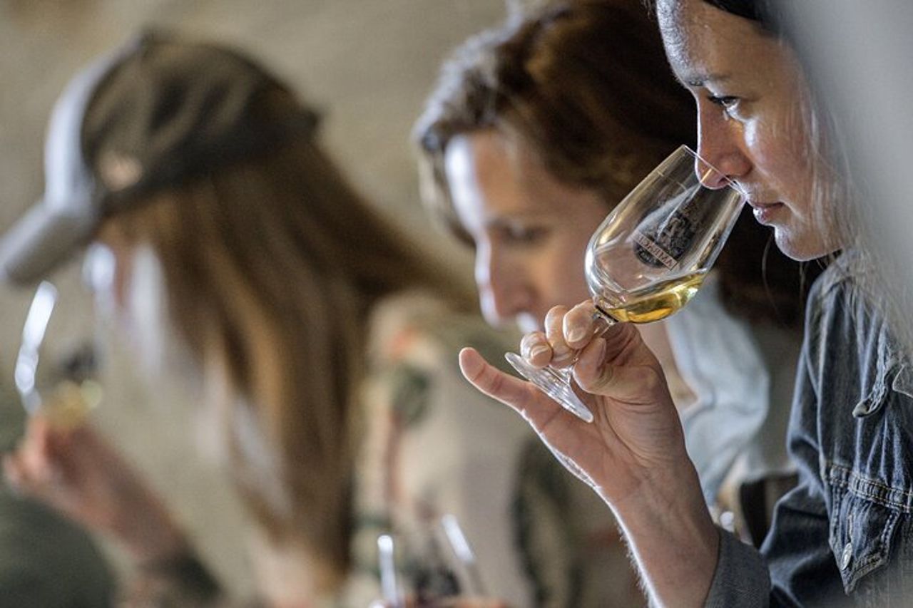Tour privato di un giorno dei vini della Valle della Loira con degustazioni da Tours o Amboise — 6