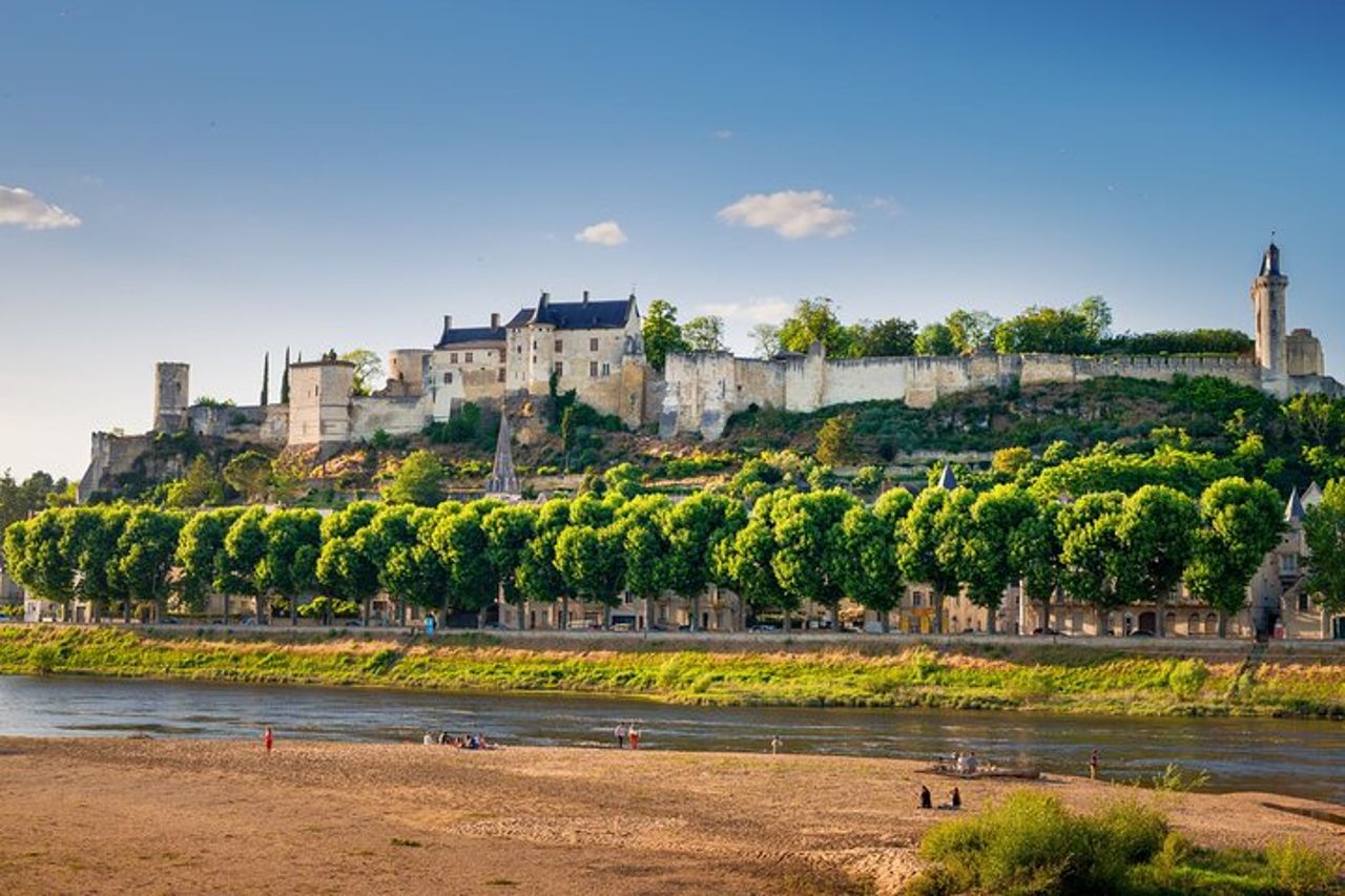 Tour privato di un giorno dei vini della Valle della Loira con degustazioni da Tours o Amboise — 8