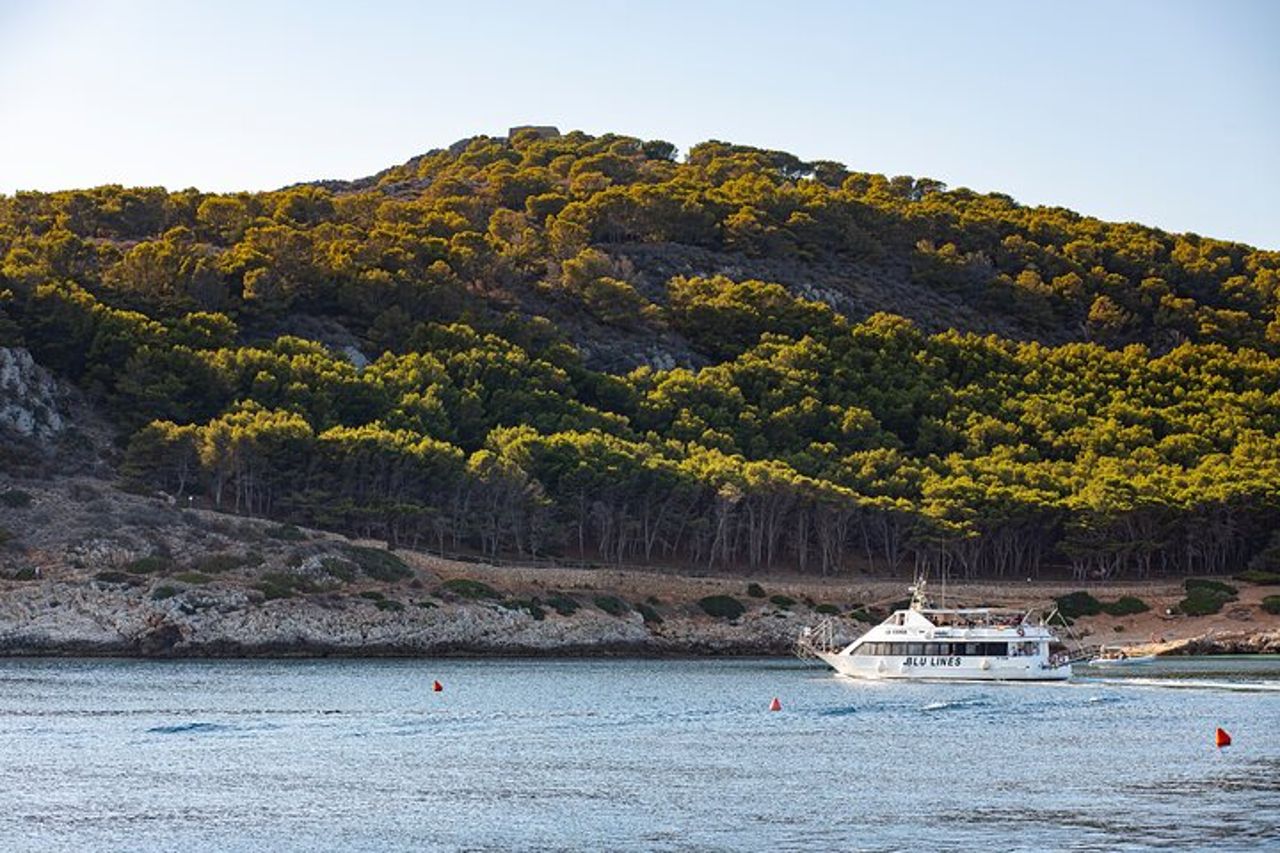 Da Trapani: Tour in barca Isole Egadi Favignana e Levanzo pranzo — 4