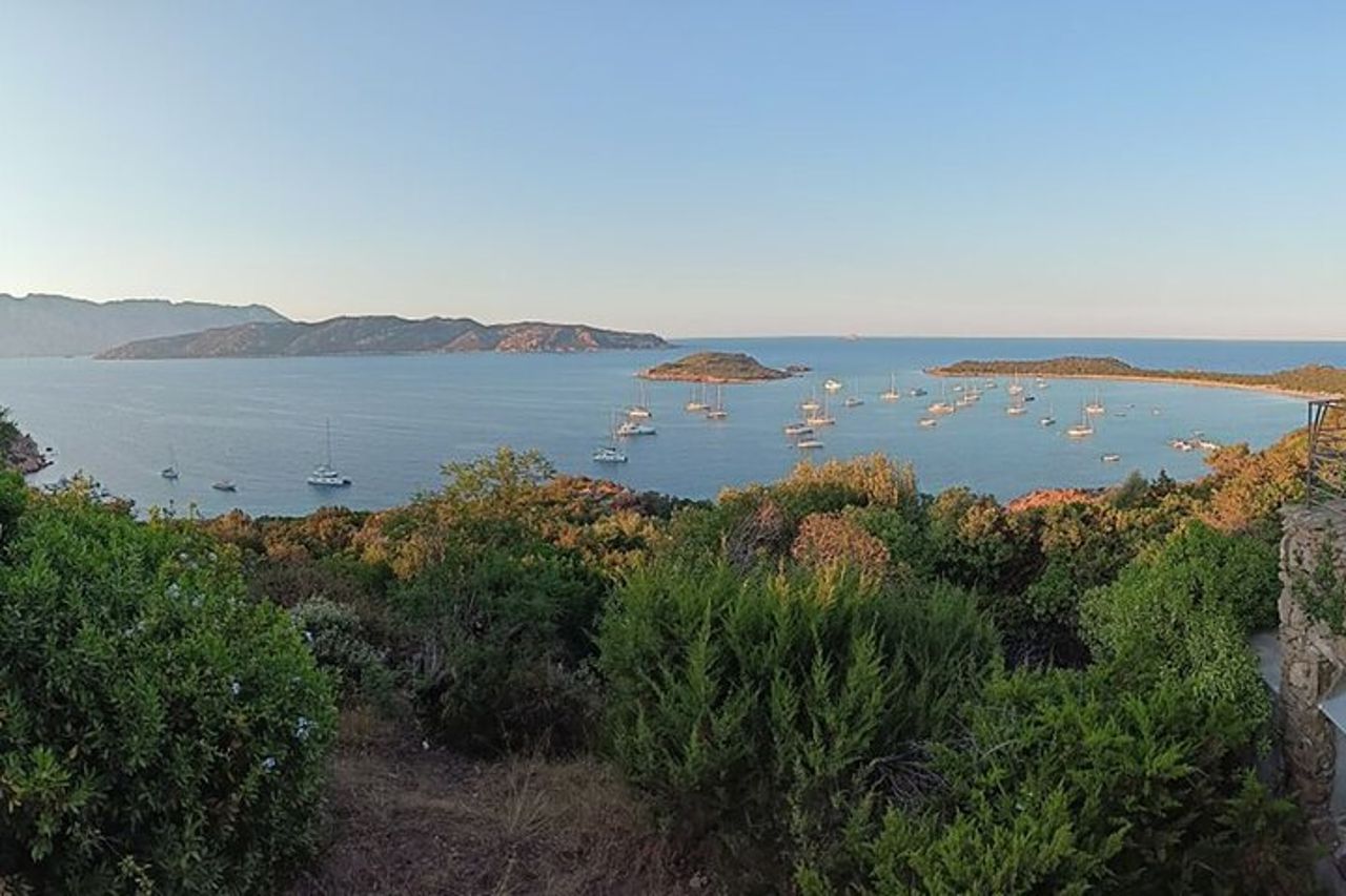 San Teodoro: Mini Tour dell’Arcipelago di Tavolara — 6