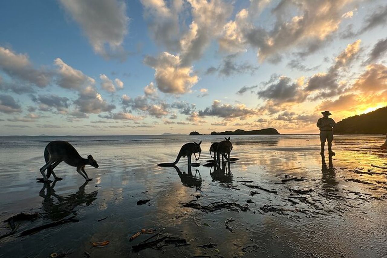 Beach Sunrise con i Wallabies — 2