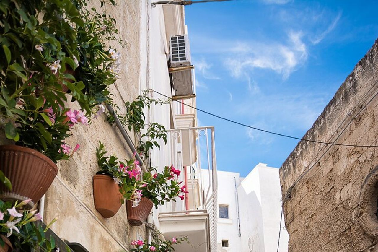 Tour guidato Alberobello, Monopoli Polignano Piccolo gruppo da Bari — 9