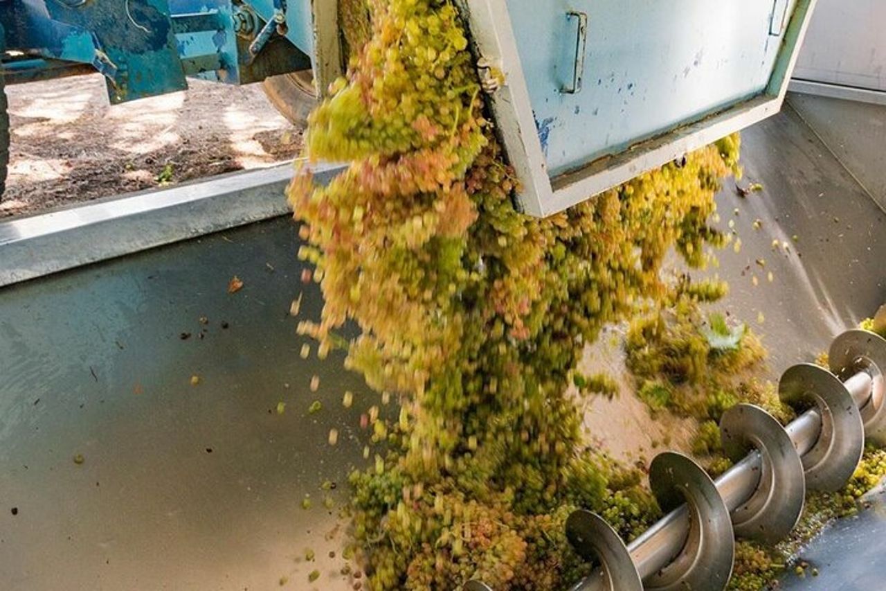 Pinot Noir & Pinot Wine Tour nel Baden-Württemberg — 4