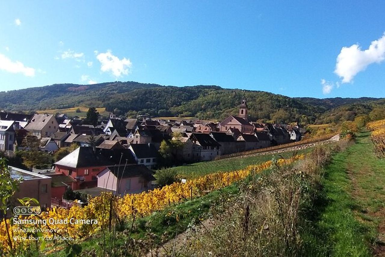 Pinot Noir & Pinot Wine Tour nel Baden-Württemberg — 7
