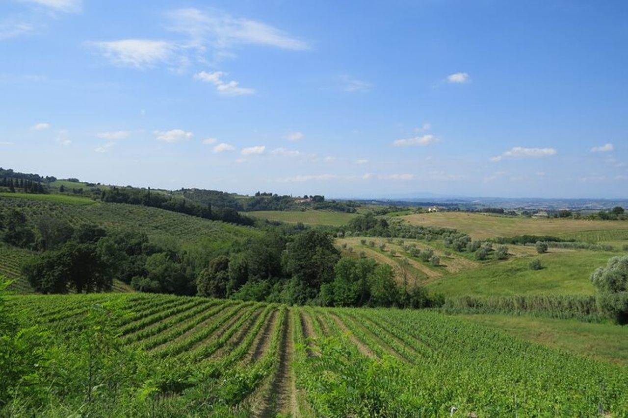 Colline del Chianti: Tour e-Vespa con app guidata + pranzo a Greve