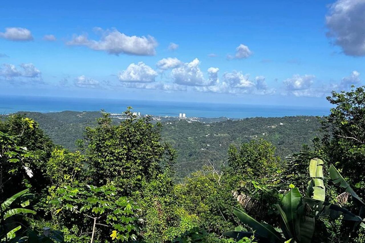 Tour guidato privato a Porto Rico — 3