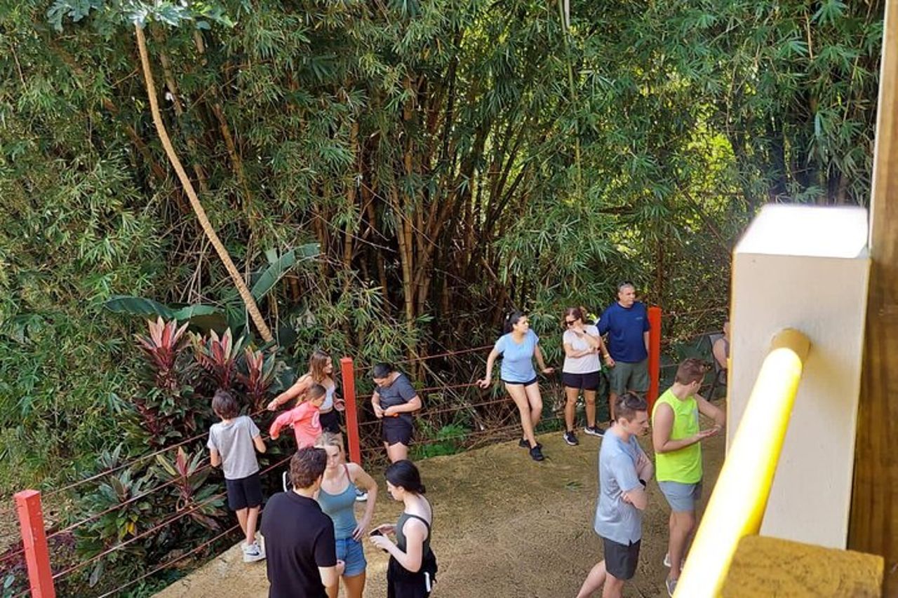 Tour guidato privato a Porto Rico — 8