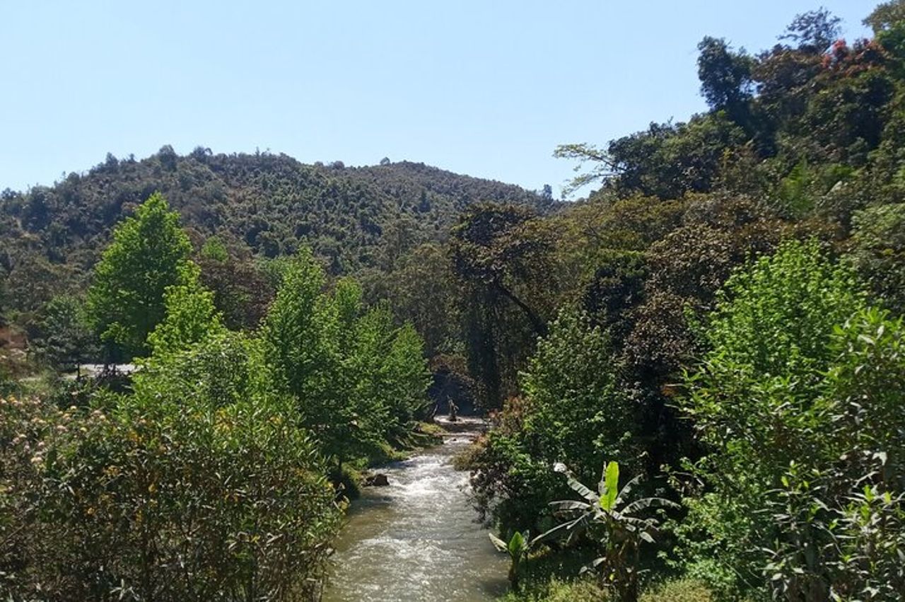 Escursione di 8 giorni Madagascar Oriental Wildlife e Natura — 8