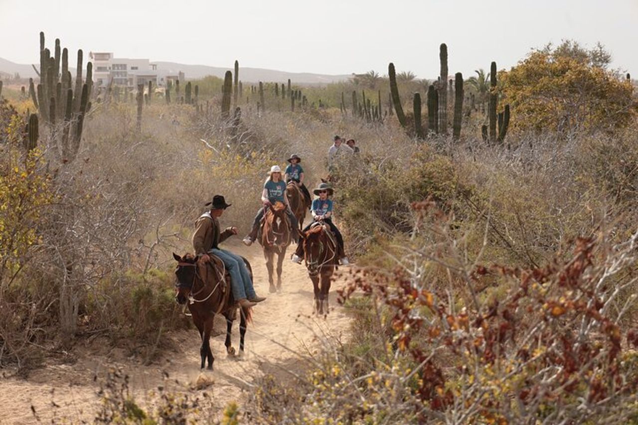 Tour a cavallo a Cabo San Lucas — 2
