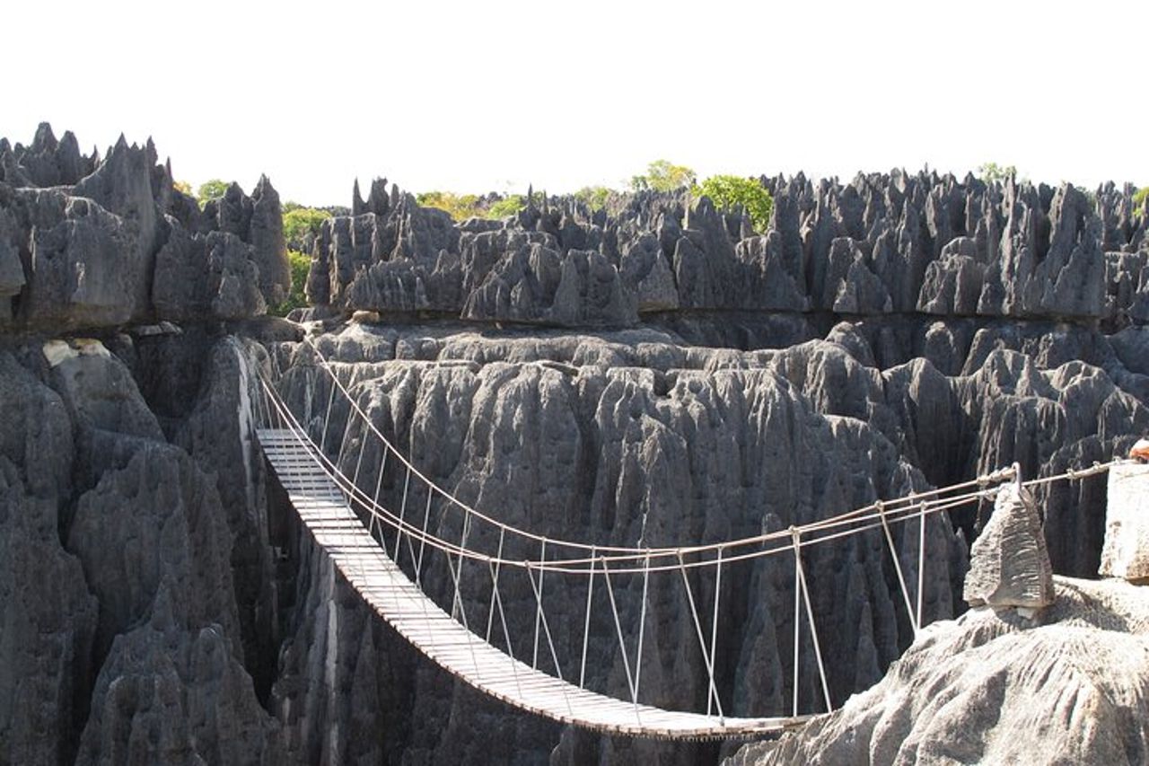 11 giorni Scopri i lemuri, i baobab e gli tsingy del Madagascar