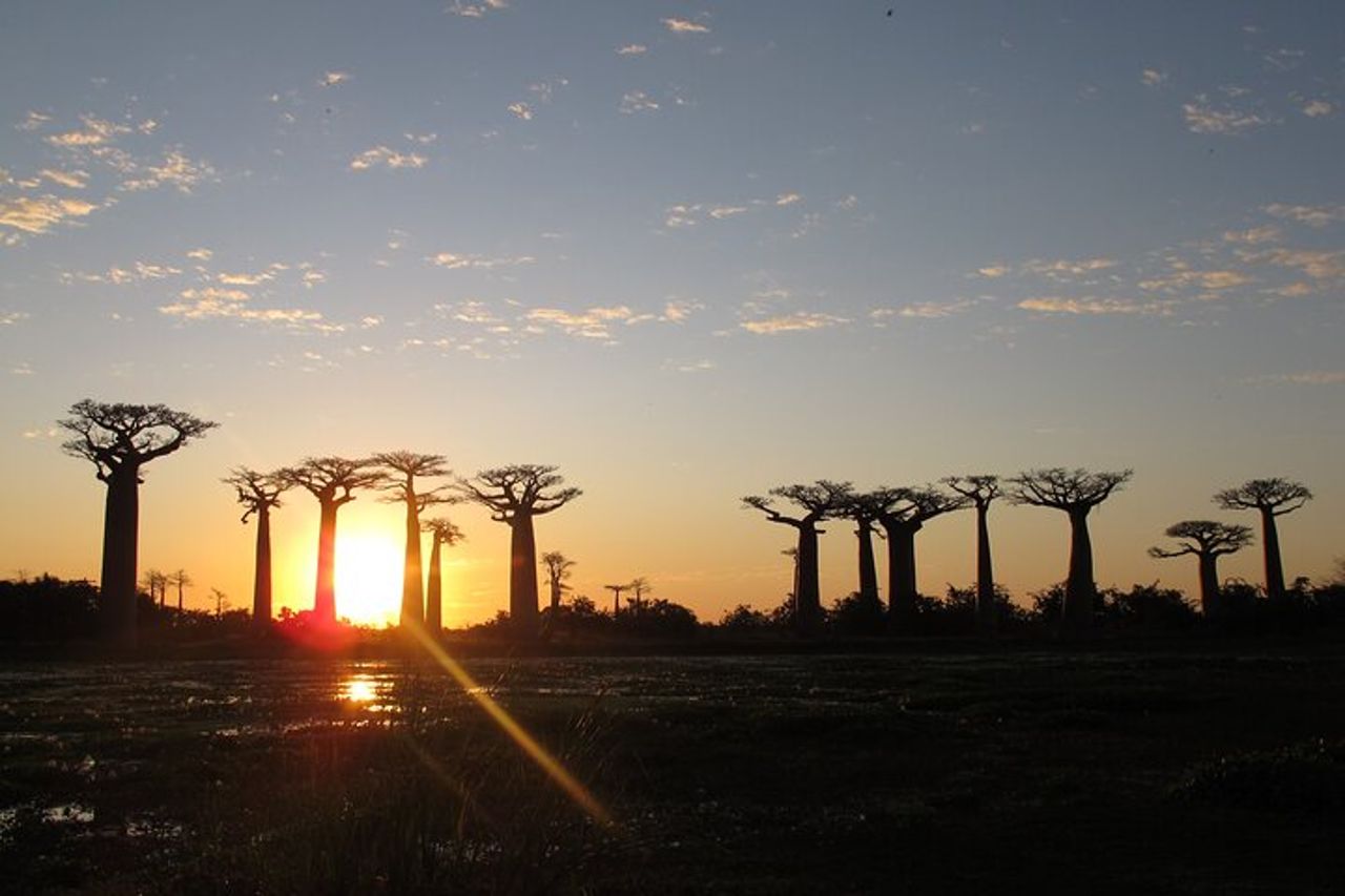 11 giorni Scopri i lemuri, i baobab e gli tsingy del Madagascar — 5