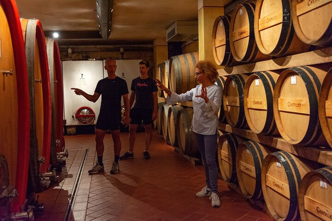 Tour della cantina con Degustazione di 6 vini