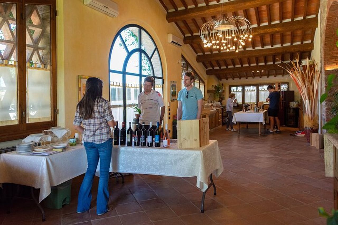 Tour della cantina con Degustazione di 6 vini — 4