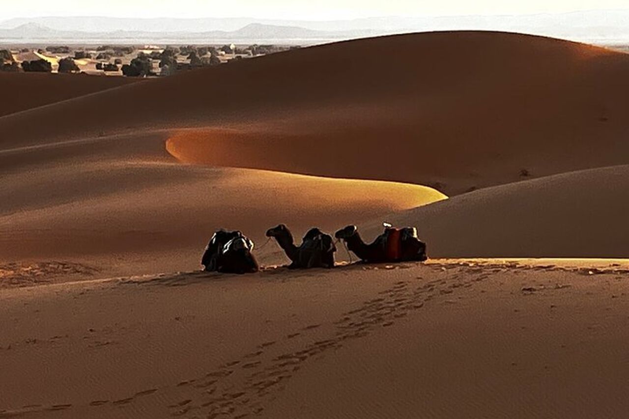 Fes: Miglior Fez a Marrakech via Merzouga Desert Dunes, tour di 3 giorni — 2