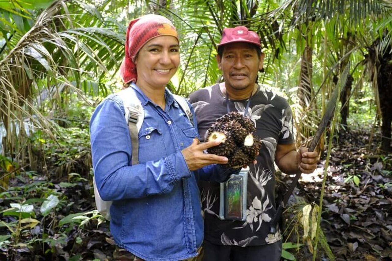 Iquitos: Avventura in Amazzonia: Natura e fauna selvatica | 2 giorni — 8