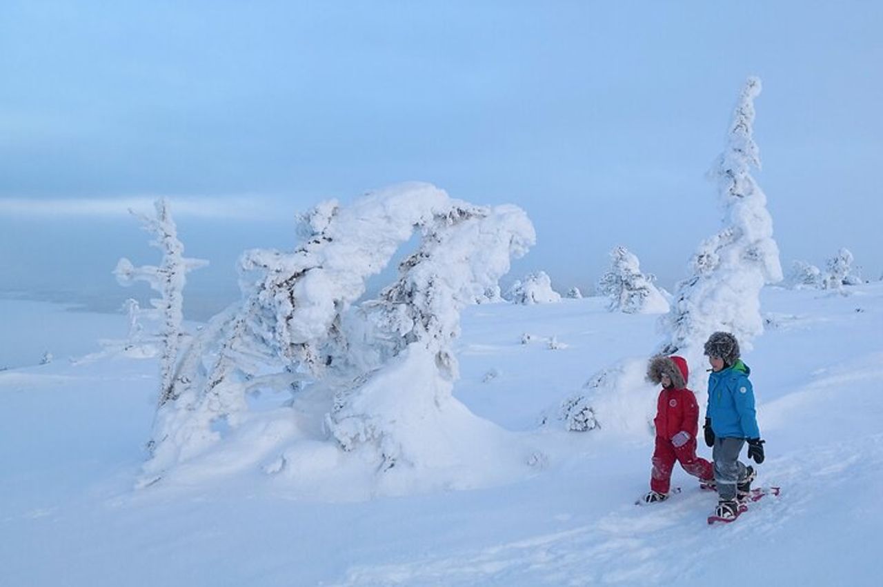 Racchette panoramiche sulla cima di Pyhä Fell — 4
