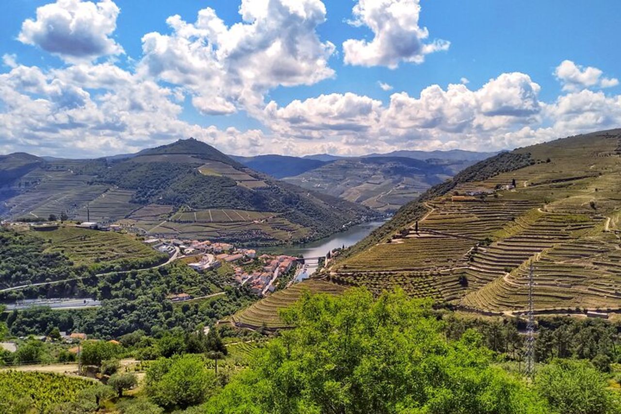 Gita di un giorno nella Valle del Douro: 2 cantine, barca privata e pranzo autentico — 4