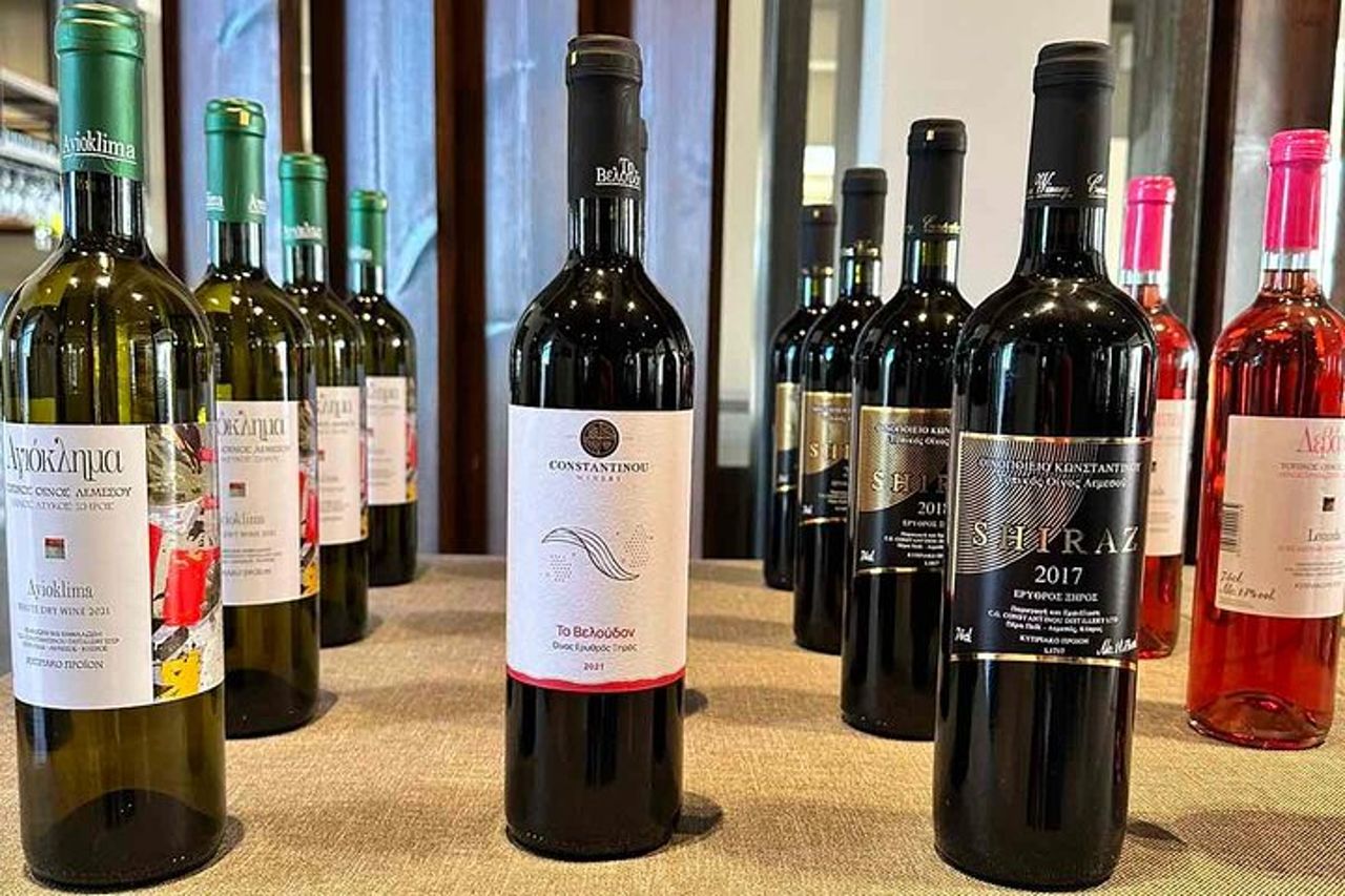 Esperienza di degustazione di vini di 1 ora a Protara — 2
