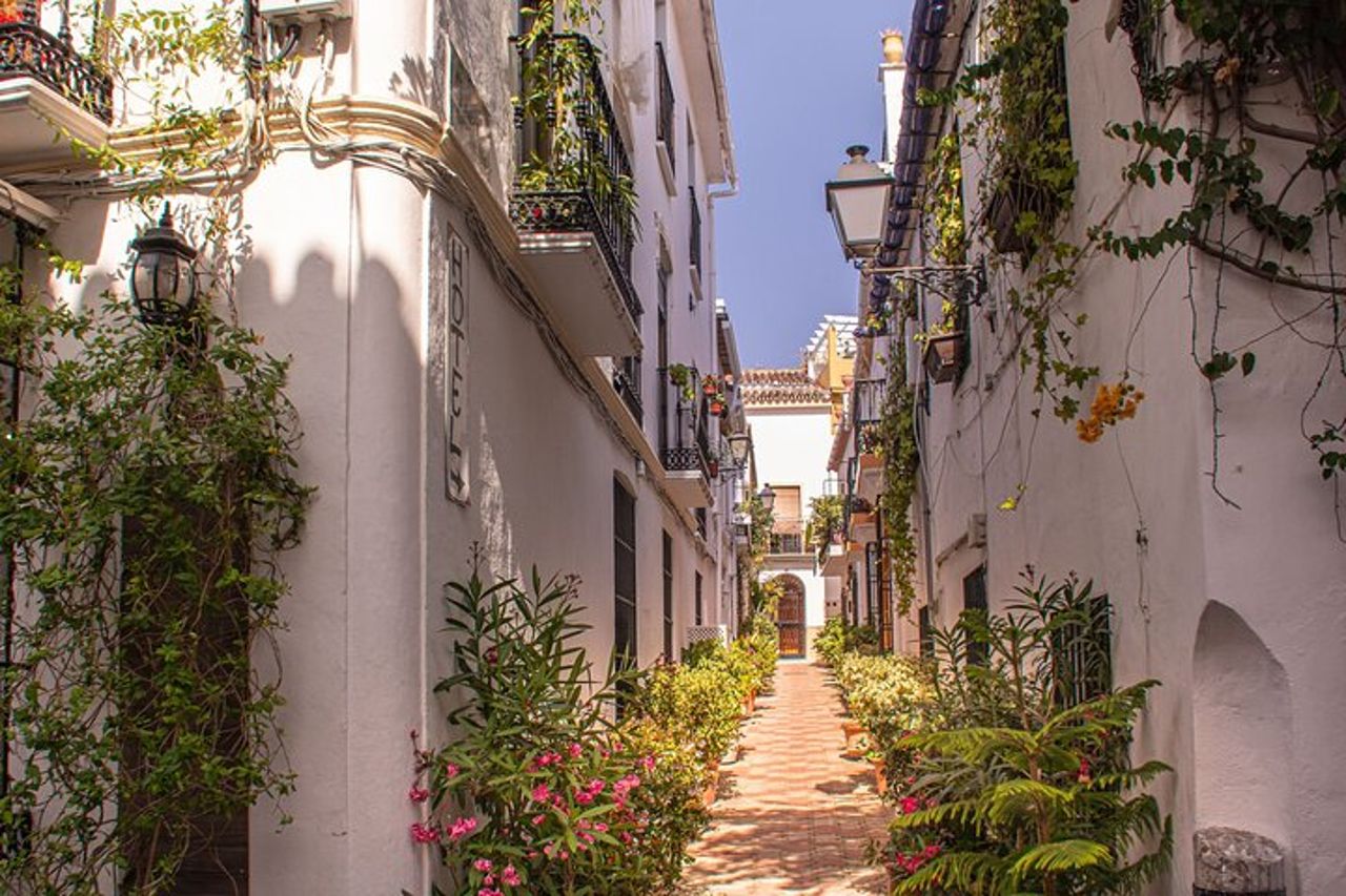 Tour personalizzato privato con una guida locale Marbella