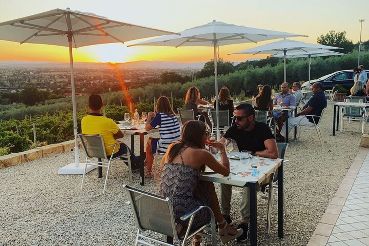 Degustazione all'Aria Aperta di Vini BIO con Vista! — 8