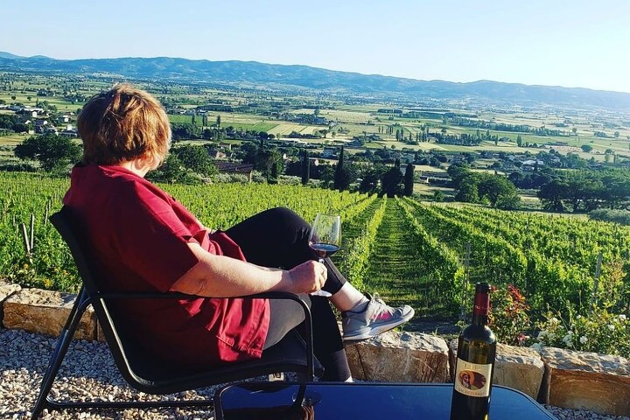 Degustazione all'Aria Aperta di Vini BIO con Vista! — 9
