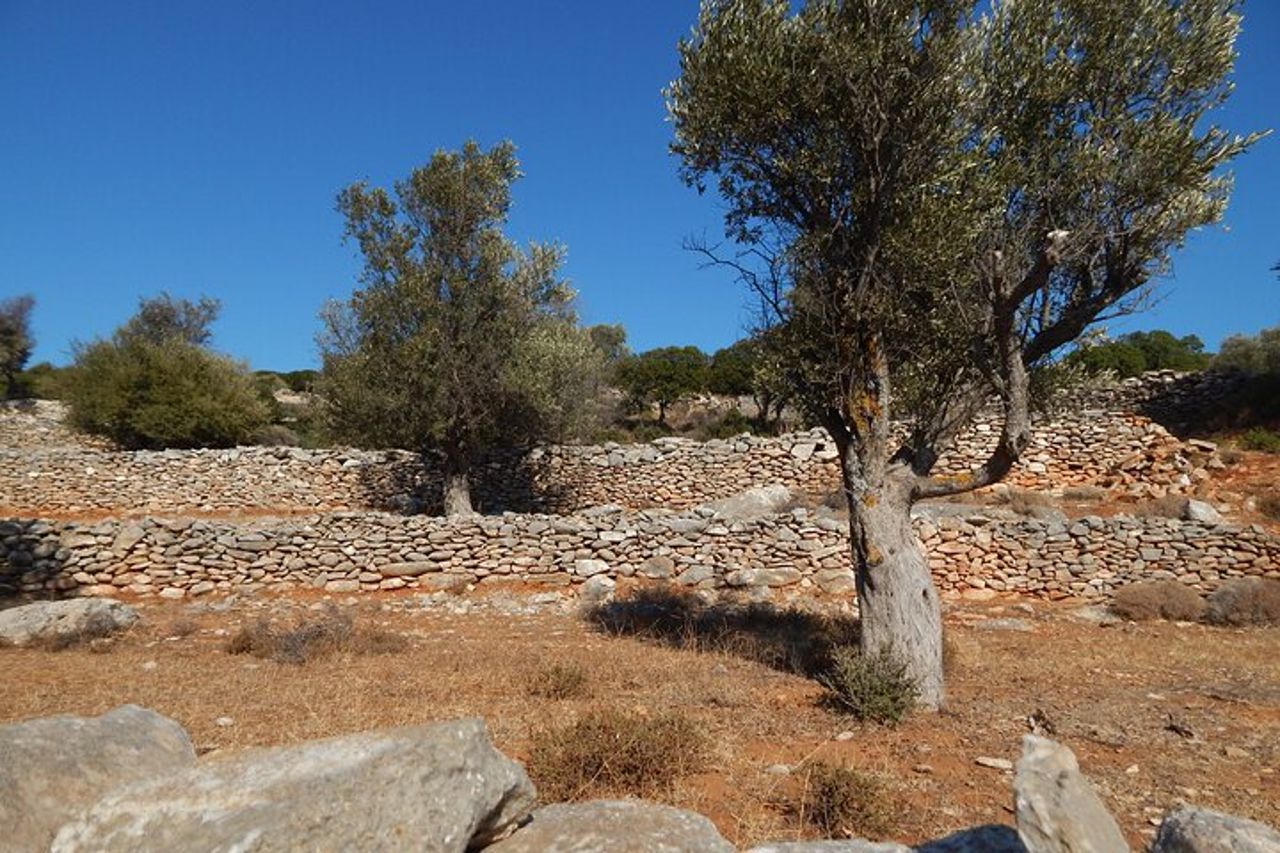Naxos: Escursione nell'entroterra per esplorare villaggi e antichità locali — 6