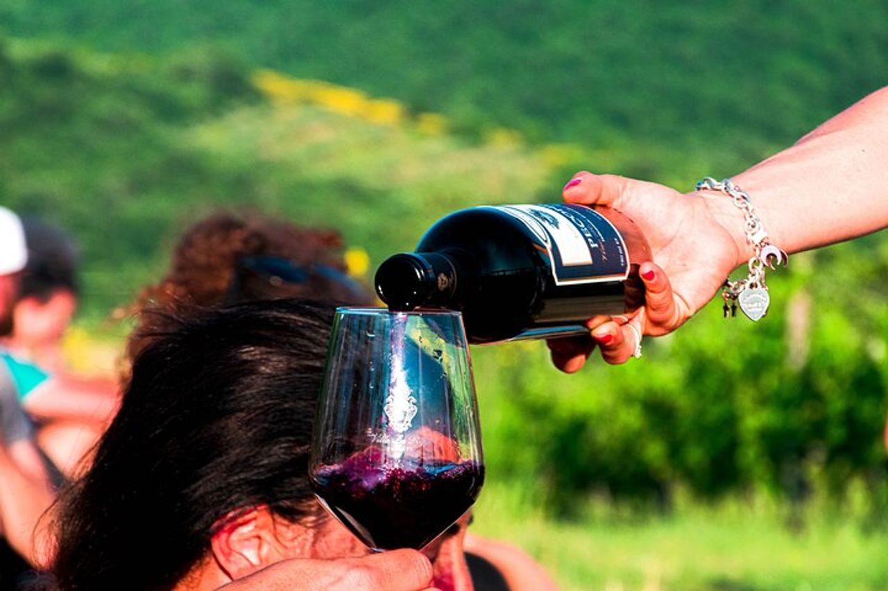 Tour fra i vigneti e degustazione di vini ed olio Evo in Toscana — 6
