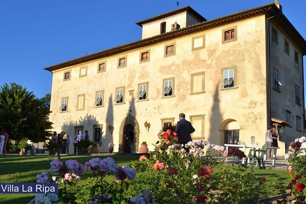 Tour fra i vigneti e degustazione di vini ed olio Evo in Toscana — 2